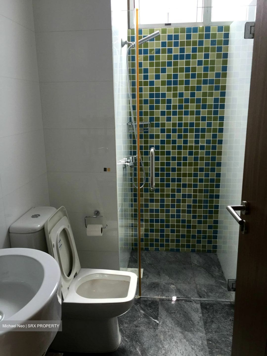 Mill Point (D10), Apartment #547180051